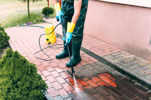 Best Animal Enclosure Cleaning  in Warren, OH